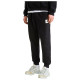 The North Face Ανδρικό παντελόνι φόρμας Evo Box Half Dome Regular Pants